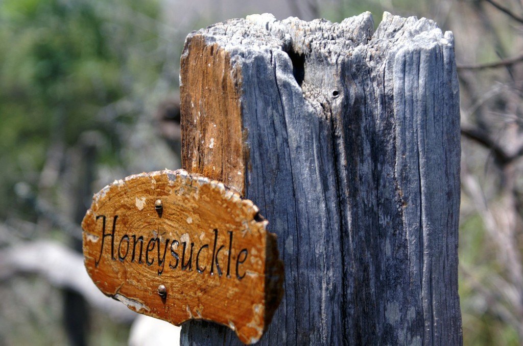Sign of our "Honeysuckle" villa