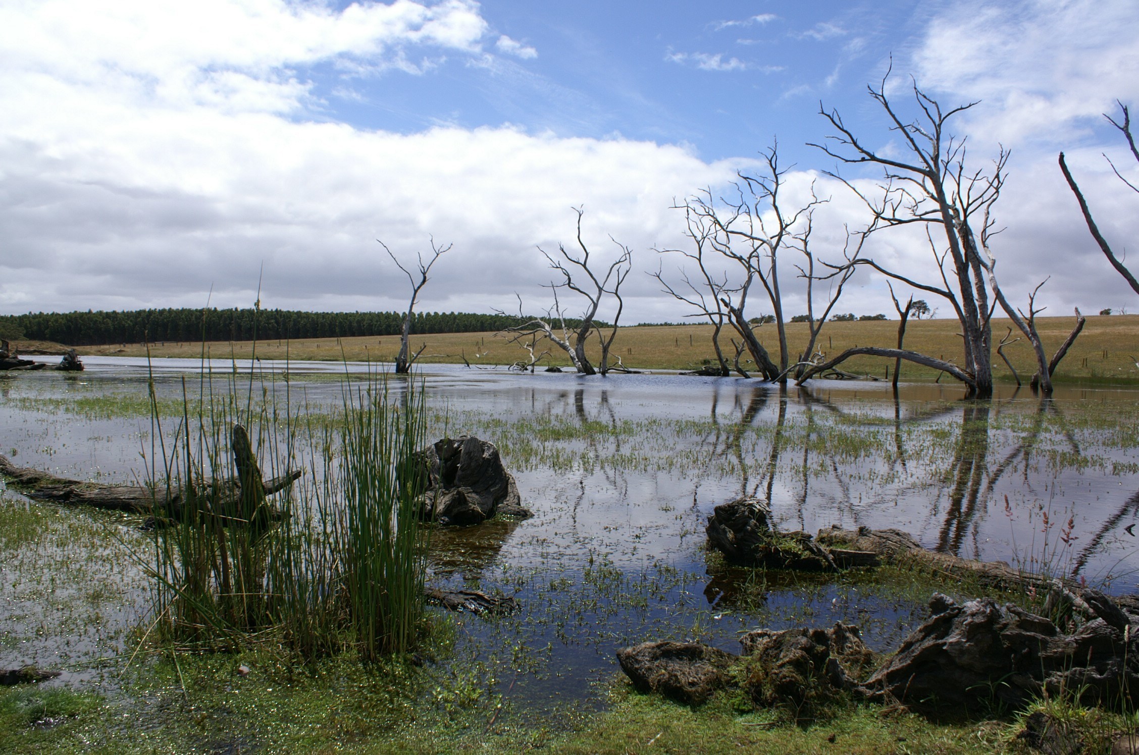 Lake on Greg's Binnowie farm