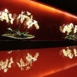 Lobby Park Plaza Hotel