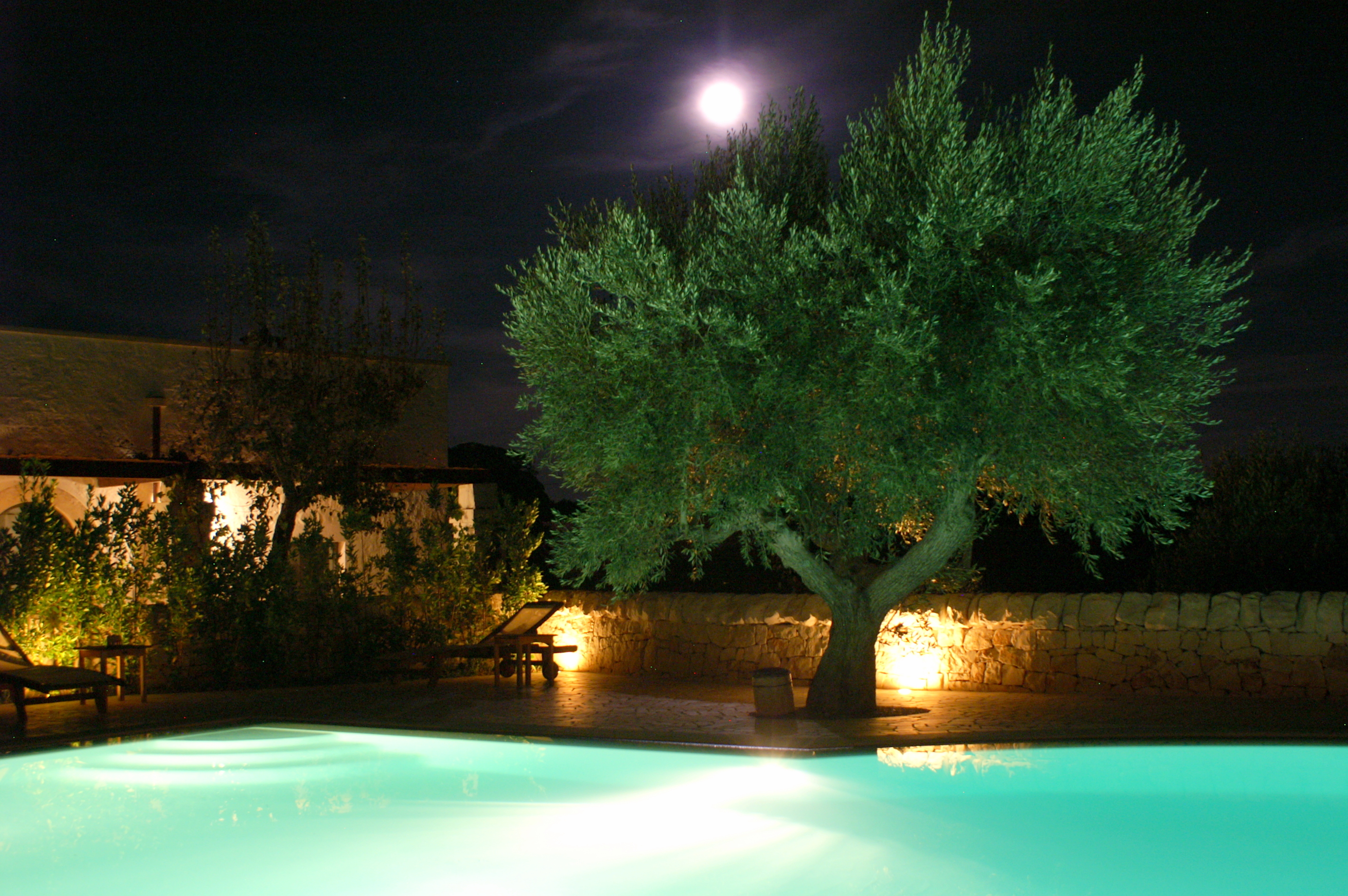 swimming pool, olive tree, full moon by night at Masseria Fumarola
