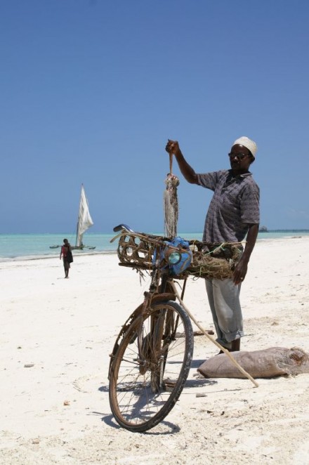 Fisherman's Business Bicycle by a Zanzibar Beach