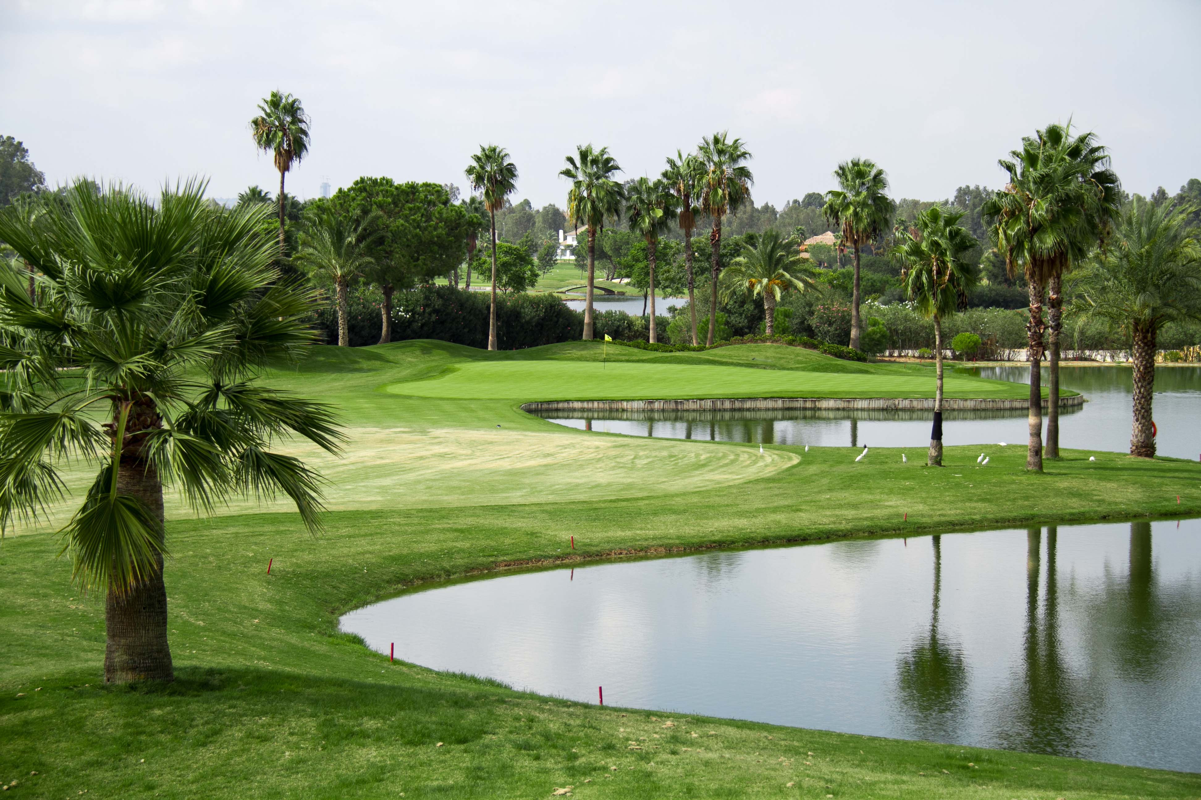 Golf course Sevilla Real green, palmtrees and lake