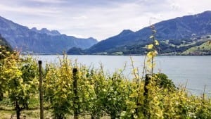 Hiking along the Walensee - courtesy of Mammut 7 | travel memo