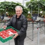 From asparagus field to gourmet kitchen - a contemplation 4 | travel memo