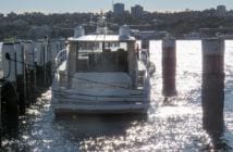 Cruising Sydney Harbour aboard the MV Birchgrove Yacht 3 | travel memo