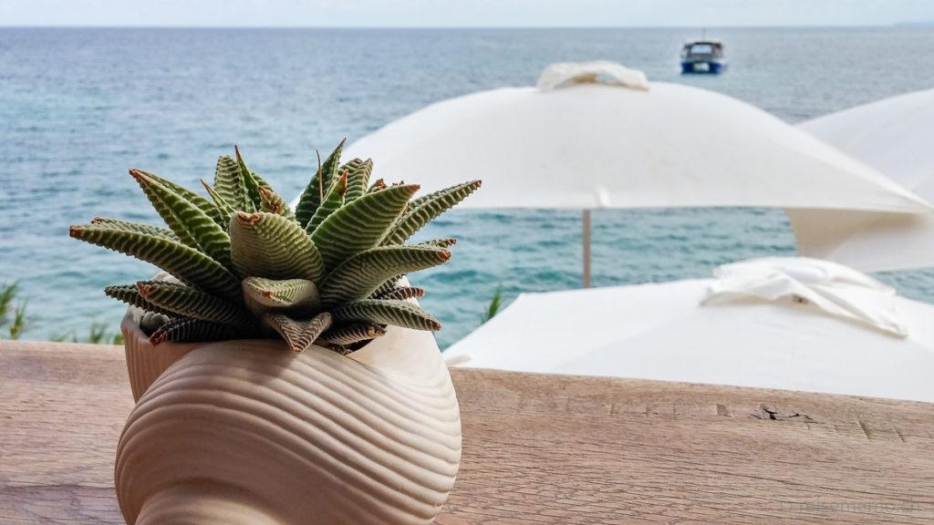 Our top 6 Ibiza beach clubs - lovely beaches, fine food worth a look 10 | travel memo