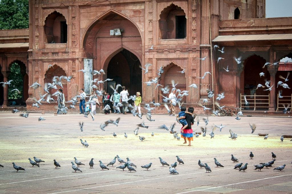 Kids catching pigeons in Red Fort in Delhi, India