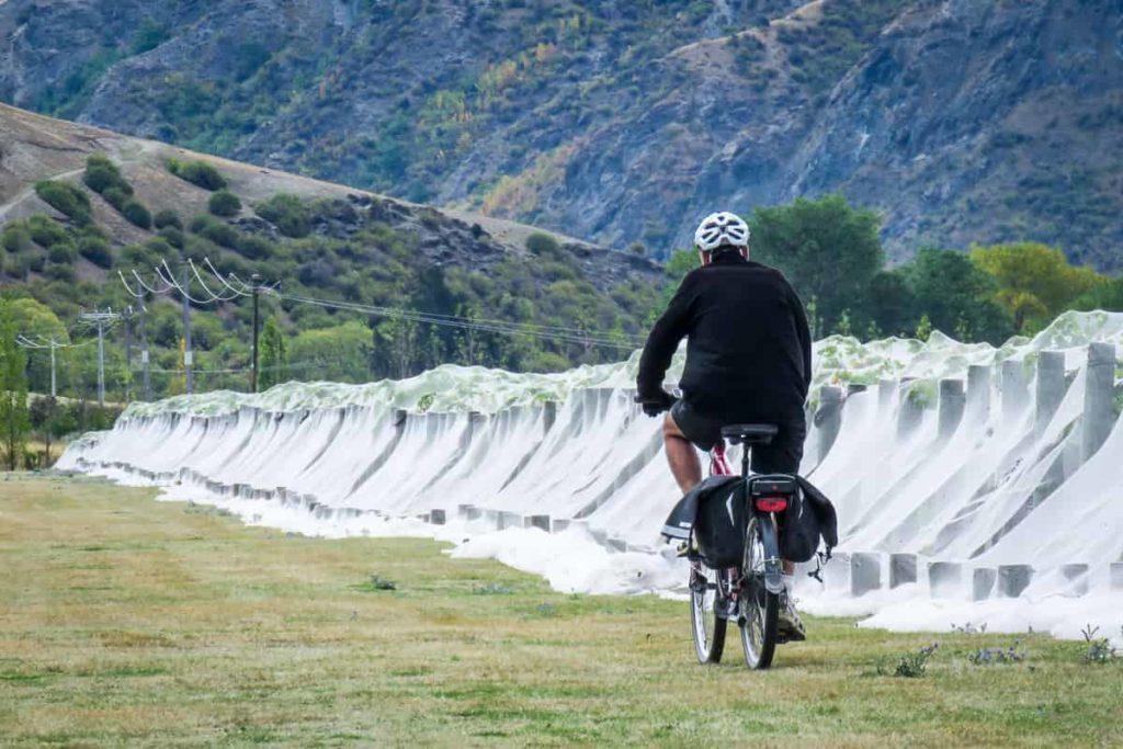 Chris biking along the netted vineyards in the Gibbston Valley