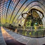 Mind-boggling Gardens by the Bay in Singapore 2 | travel memo
