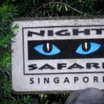 Night Safari Singapore