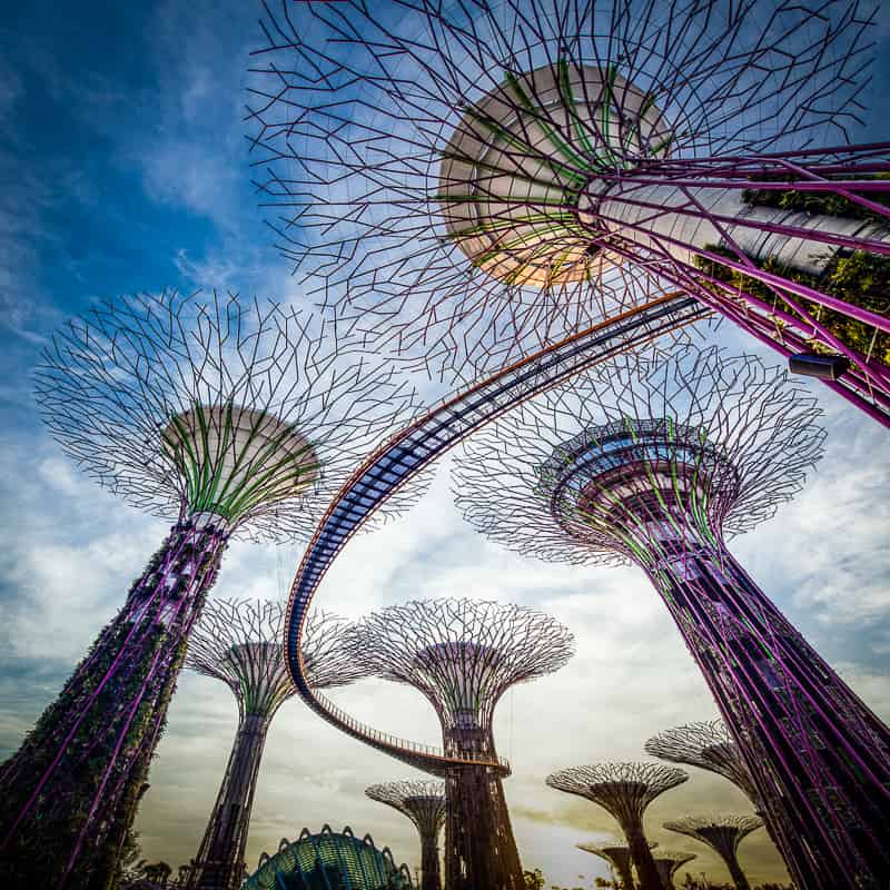 Supertree skyway in Singapore's Gardens by the Bay