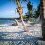 Hammock at Long Beach