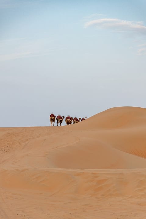 Caravan disappearing into the desert