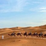 Camel ride