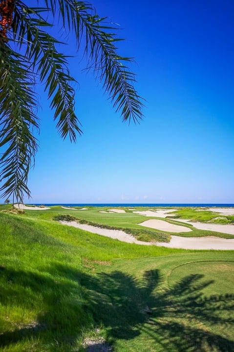 Saadiyat Golf Club in Abu Dhabi
