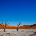 Dead trees at Deadvlei