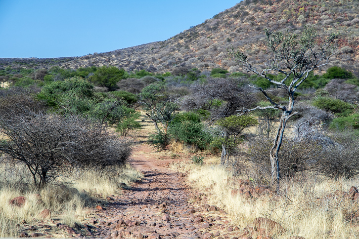 Road in the Okonjima Nature Reserve