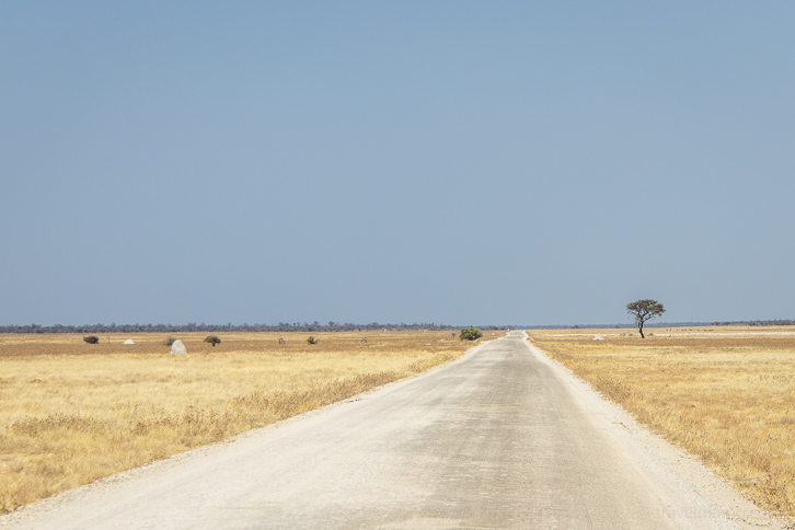 Gravel road in Etosha