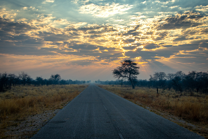 Asphalted road into Etosha National Park