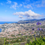 Madeira Excursion Tips