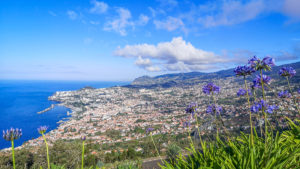 Madeira Excursion Tips