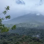 Arenal