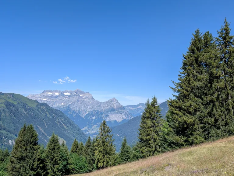 Alpine panorama with green spruce trees, meadows, and snow-capped peaks near Glarus South