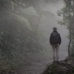 The dense fog gives the Monteverde Cloud Forest Reserve its unique mystical atmosphere