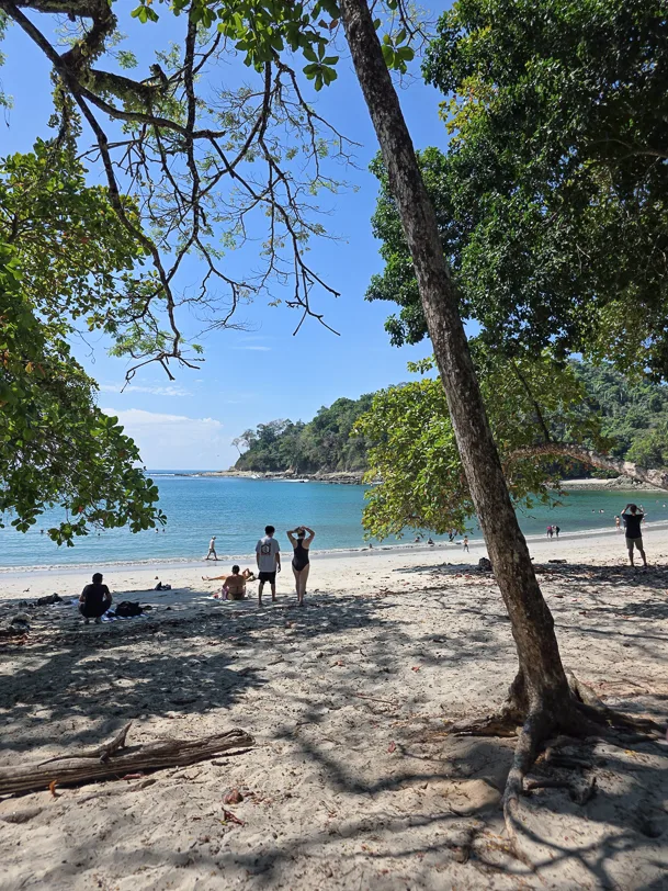 Tropical sandy beach with turquoise water, surrounded by dense rainforest and shady trees, several visitors enjoy the beach