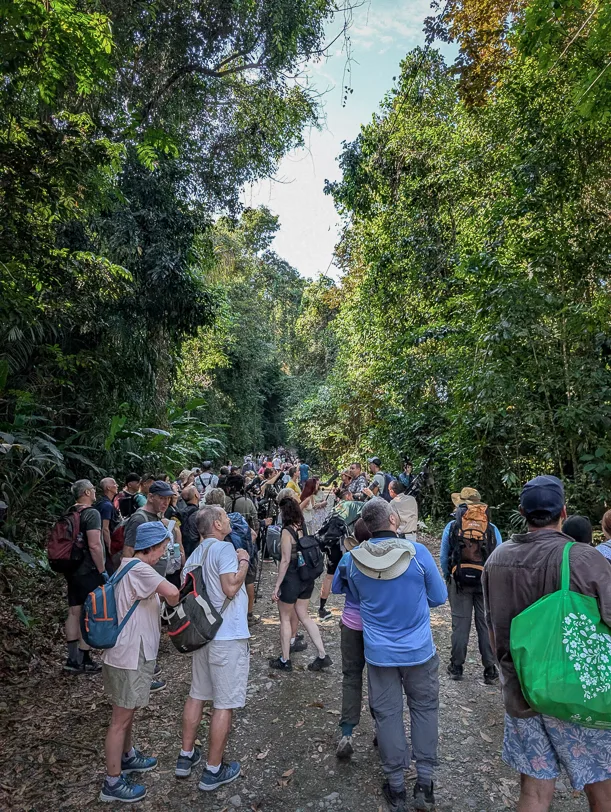 Large group of tourists with backpacks and cameras gather on a forest path in the dense green rainforest