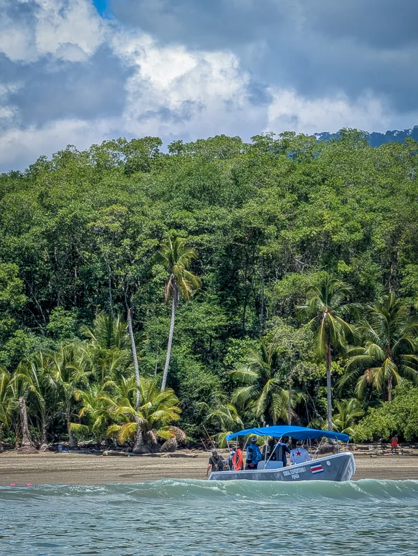 White boat with blue canopy sails along a tropical beach with palm trees and dense rainforest in the background