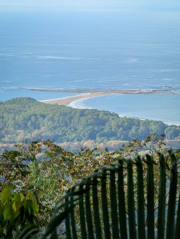 View of the tropical coast of Marino Ballena with its tail fin-shaped sandbank in the turquoise sea from an elevated vantage point through palm fronds.
