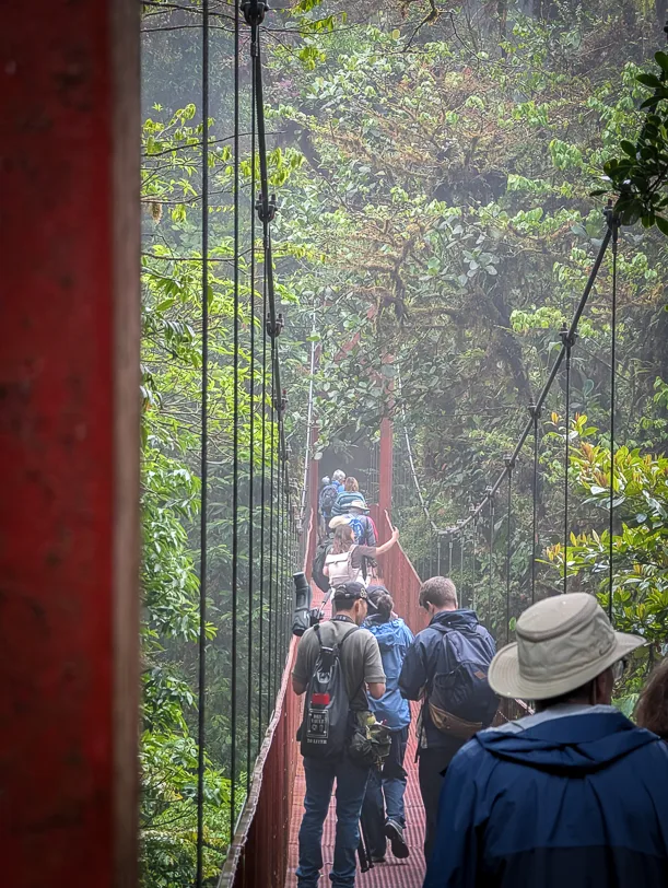 Tourists cross a red suspension bridge between tall trees in the misty rainforest of Monteverde