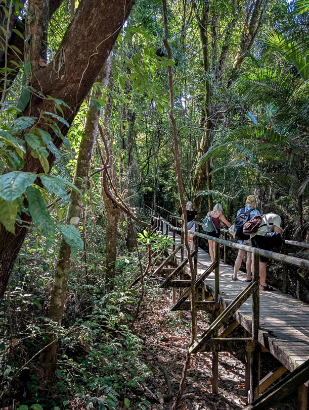 Tourists on a boardwalk