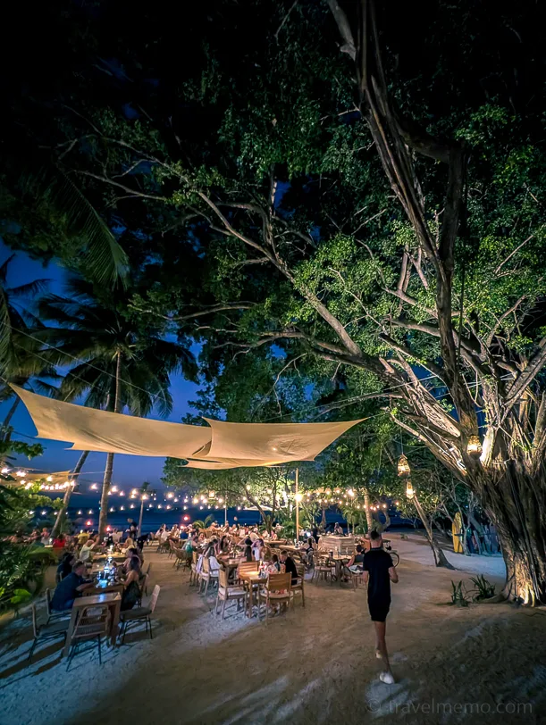 Night scene of a beach restaurant in Tamarindo with guests at tables under a large illuminated tree and fairy lights