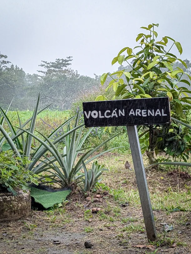 Wooden sign with the inscription 'Volcán Arenal' stands between pineapple plants and tropical vegetation