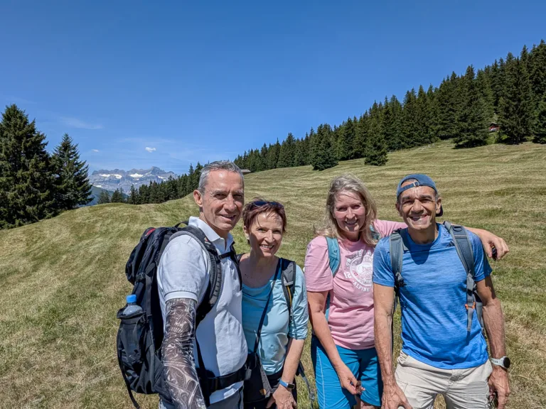Four hikers are standing on a sunny mountain meadow with a fir forest in the background and a view of the Swiss Alps